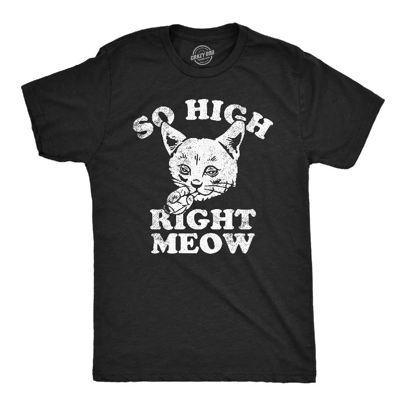 Men's yoga t-shirt-So High Right Meow Men's T Shirt