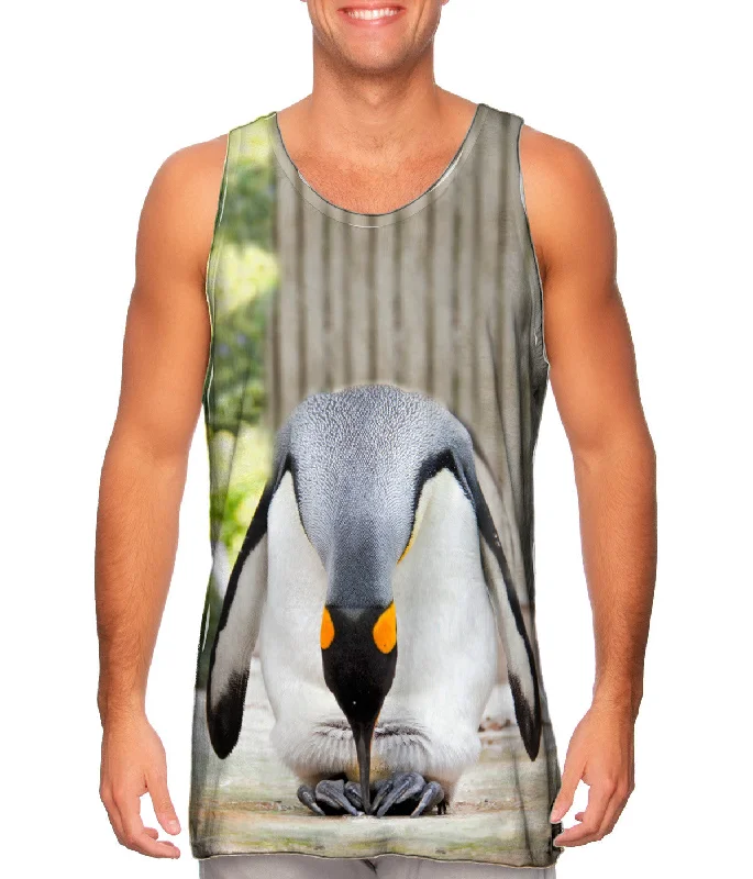 King Penguin